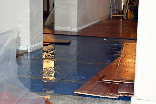 Professional Burst Pipe Cleanup technician working in Alexis, NC